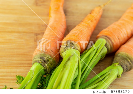 bouquet of carrots orange carrots with green tops 67398179