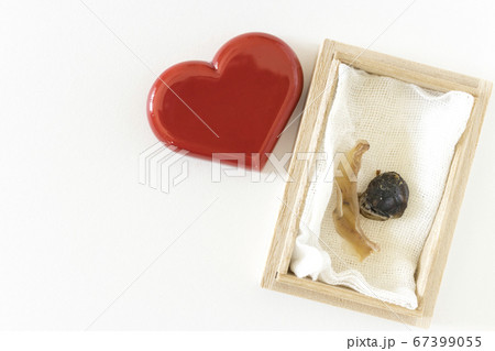 ハートの置物と木の箱に入ったへその緒 67399055