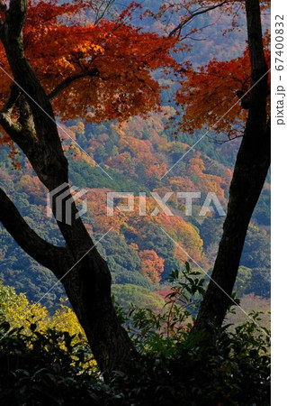 紅葉 紅葉 67400832