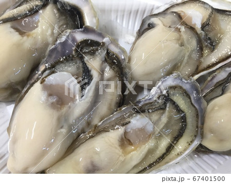 生牡蠣 67401500