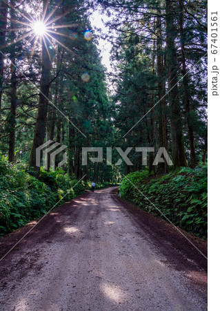 （栃木県）旧日光街道　杉並木 67401561