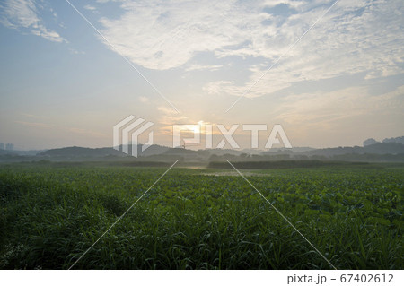 屋外 室外 自然 67402612