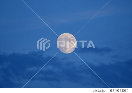 ミチルツキ 67402864