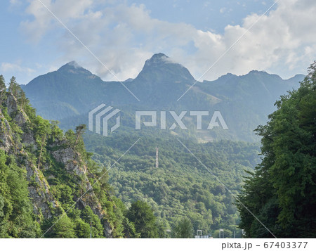 Steep cliffs with pines growing on them. 67403377