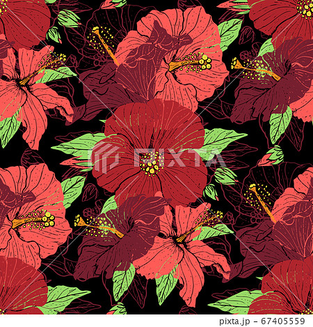 Colorful floral seamless pattern with hand drawn hibiscus flowers on black background. Stock vector Colorful floral seamless pattern with hand drawn hibiscus flowers on black background. Stock vector 67405559