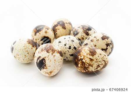 うずらの卵　白背景 67406924