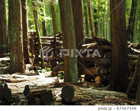 シイタケ栽培 67407446