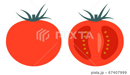 シンプルなトマトと断面のイラスト素材