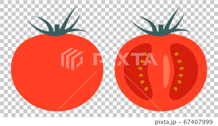 シンプルなトマトと断面のイラスト素材