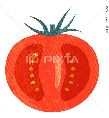 トマトの断面 アクリル画風のイラスト素材