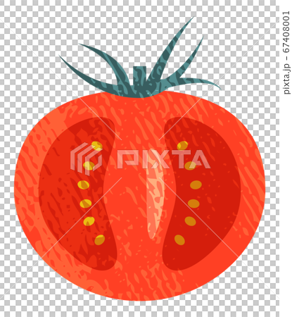 トマトの断面　アクリル画風 67408001