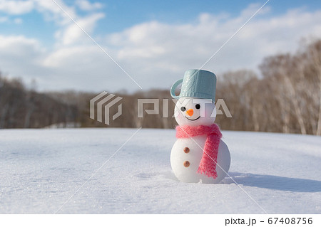 雪原と雪だるま 67408756