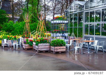 Colorful tulips and spring flowers in the spectacular garden, Netherlands Colorful tulips and spring flowers in the spectacular garden, Netherlands 67409197