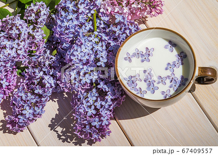 Cup with milk and small purple lilac flowers Cup with milk and small purple lilac flowers 67409557