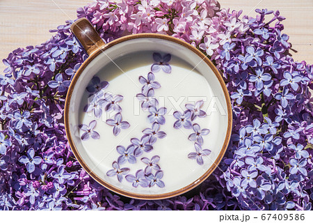 Cup with milk and small purple lilac flowers Cup with milk and small purple lilac flowers 67409586