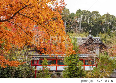 紅葉の名所 鍬山神社 京都亀岡観光スポット 明智光秀ゆかりの地 麒麟がくる 紅葉の名所 鍬山神社 京都亀岡観光スポット 明智光秀ゆかりの地 麒麟がくる 67410310
