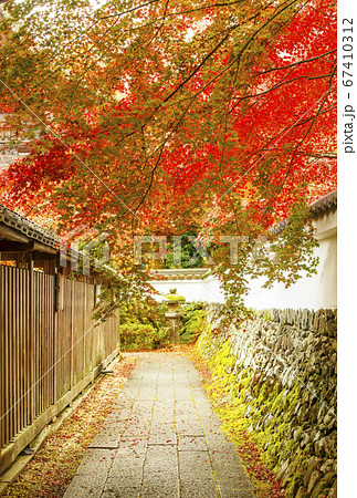紅葉の名所 鍬山神社 京都亀岡観光スポット 明智光秀ゆかりの地 麒麟がくる 紅葉の名所 鍬山神社 京都亀岡観光スポット 明智光秀ゆかりの地 麒麟がくる 67410312