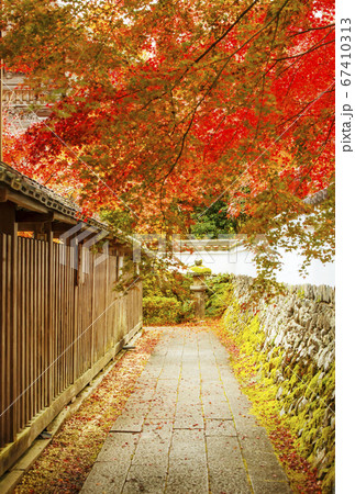 紅葉の名所 鍬山神社 京都亀岡観光スポット 明智光秀ゆかりの地 麒麟がくる 紅葉の名所 鍬山神社 京都亀岡観光スポット 明智光秀ゆかりの地 麒麟がくる 67410313