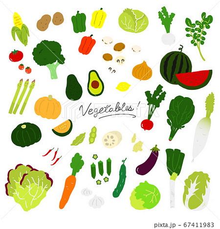 いろんな野菜の手描きイラストアイコン 白背景 のイラスト素材