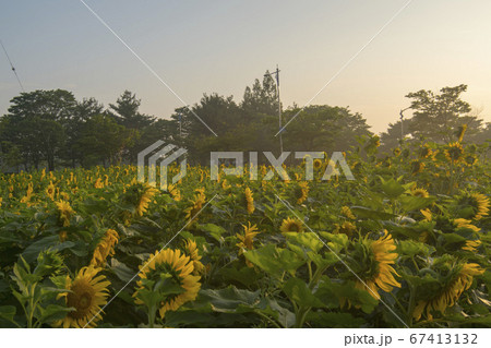 自然 風景 韓国 67413132