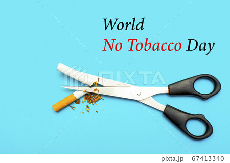 World No Tobacco Day. Concept of healthy lifestyles without cigarettes on the blue background. A cigarette cut with scissors on the calendar on may 31. 67413340