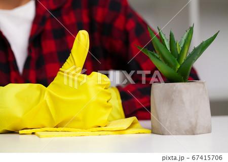 Woman takes care of plants in the workplace in the office Woman takes care of plants in the workplace in the office 67415706