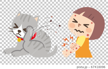 ノミで痒くて体をかきむしる猫と虫に刺された女の子 67418096