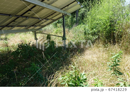 草刈り後の太陽光発電所 草刈り後の太陽光発電所 67418229