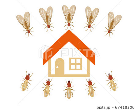 シロアリに狙われた家屋 シロアリに狙われた家屋 67418306