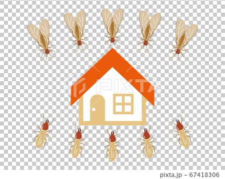 シロアリに狙われた家屋 シロアリに狙われた家屋 67418306