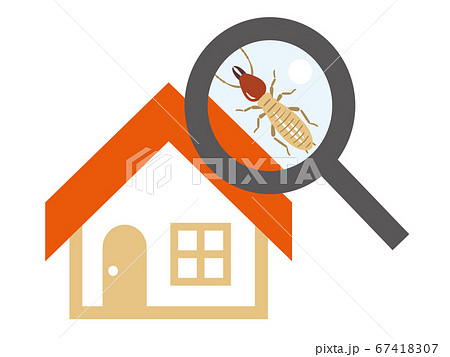 シロアリの住み着いた家とルーペ シロアリの住み着いた家とルーペ 67418307