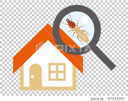 シロアリの住み着いた家とルーペ シロアリの住み着いた家とルーペ 67418307