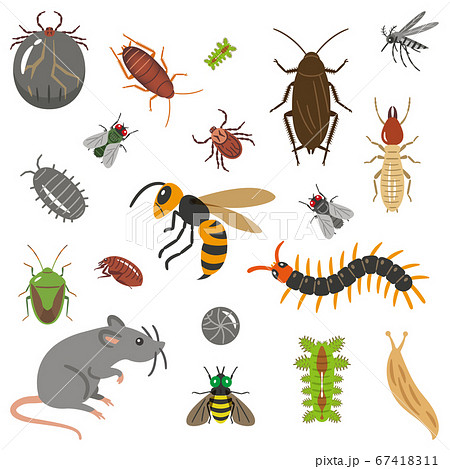 害虫のイラストレーションのセットのイラスト素材