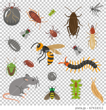 害蟲插圖集 67418311