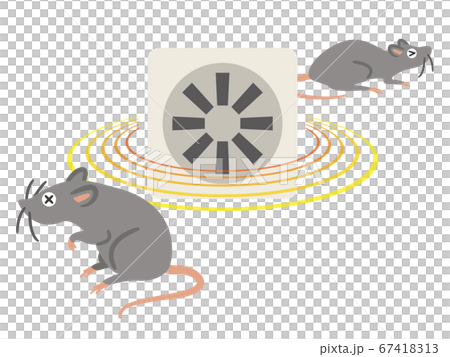 不喜歡超聲波的老鼠 67418313