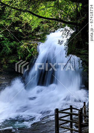 新緑のつがね落としの滝（大雨後）　【長崎県西海市】 67418734