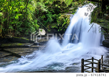 新緑のつがね落としの滝(大雨後) 【長崎県西海市】 新緑のつがね落としの滝(大雨後) 【長崎県西海市】 67418741
