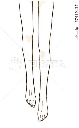 綺麗な女性の脚 67419137