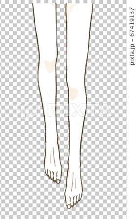 綺麗な女性の脚 67419137