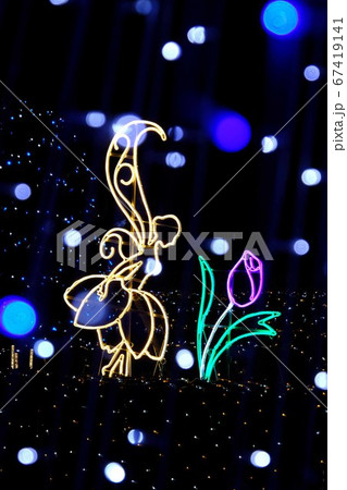 イルミネーション 67419141