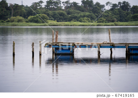 桟橋のある沼の風景　群馬県　館林市　多々良沼　2020 67419165