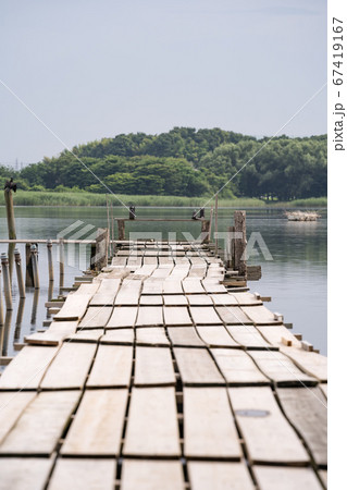 桟橋のある沼の風景　群馬県　館林市　多々良沼　2020 67419167