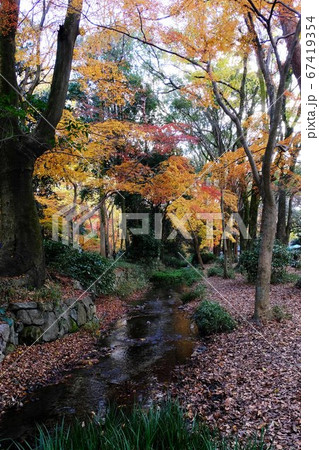 紅葉 紅葉 67419354
