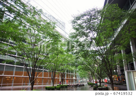 梅雨時の東京国際フォーラム周辺 67419532