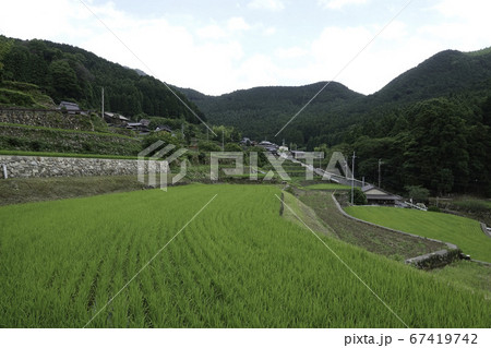 岩座神の棚田 1/2 岩座神の棚田 1/2 67419742