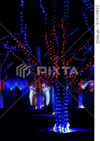 イルミネーション 67419832