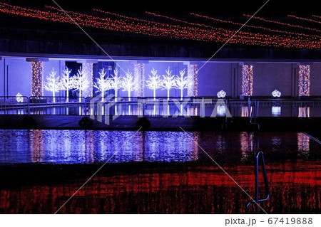 イルミネーション 67419888