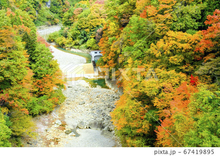紅葉の白砂川と取水堰 紅葉の白砂川と取水堰 67419895