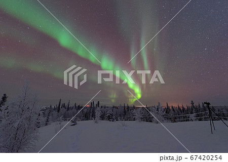 カナダ イエローナイフ 冬 オーロラ 67420254