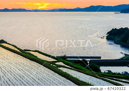 江ノ串の棚田(水張風景)の日没後 【長崎県東彼杵郡】 江ノ串の棚田(水張風景)の日没後 【長崎県東彼杵郡】 67420322